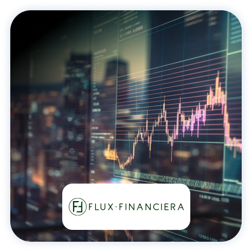 Flux Financiera-1